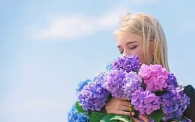 How Seasonal Allergies Can Impact Your Ear Health